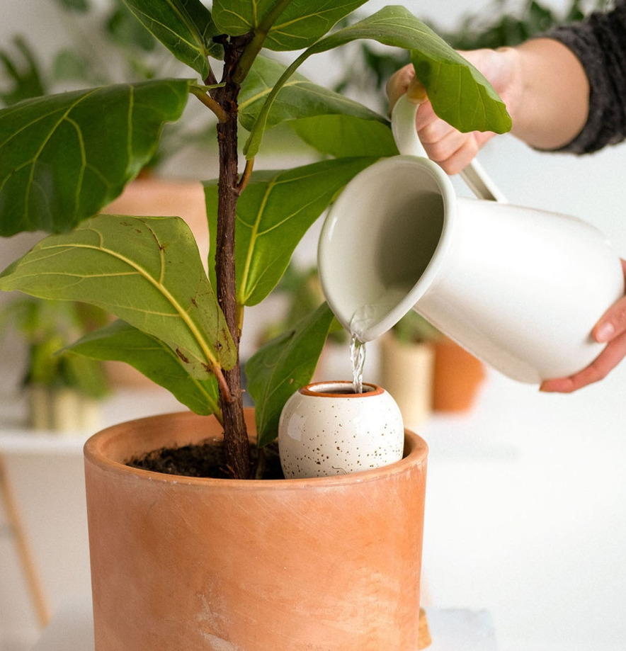 Bevattning Olla Prickig Pepin Självbevattnare Självbevattning Bevattningsglas Droppvattnare Droppbevattnare Droppbevattning