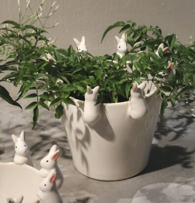 Bild av lekfull vit kruka med kaniner och gröna växter