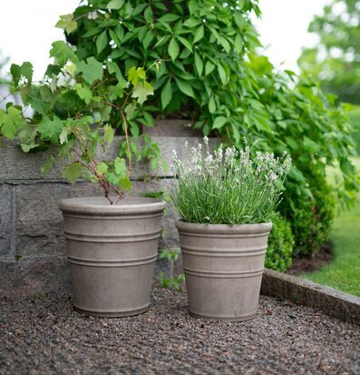 Bild av stilrena krukor i harmonisk trädgårdsmiljö