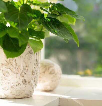 Klot Deko Melinda Beige/Vit Kruka Set/2 Wikholm Form Övrig prydnad/dekoration för inredning innemiljö Krukor Örtkrukor Glaskrukor