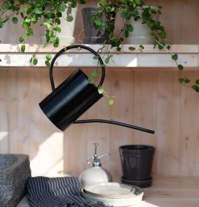 Bild av smakfull interiör med elegant vattenkanna