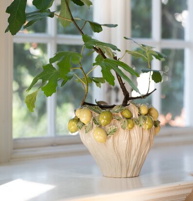 Bild av dekorativ kruka med naturlig och stilren design