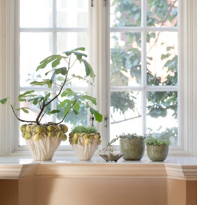 Foto av en charmig fönsterbräda med krukor och växter