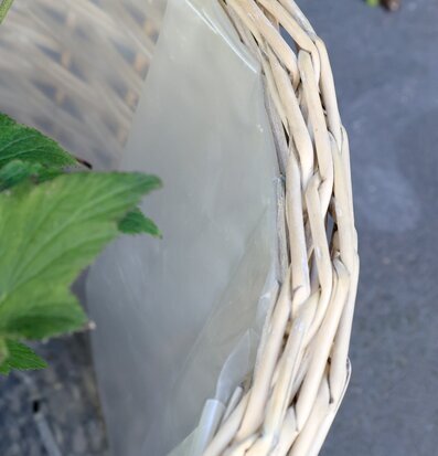 Bild av flätad pilkruka med grön växt och plastfoder