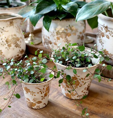 Bild av elegant kruka med blommönster och gröna blad