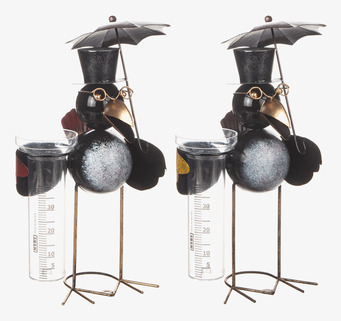 Bild av charmig regnmätare med fågel och mätarglas