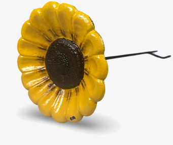 Bild av gul fågelbadstav som solros i trädgård