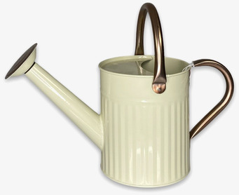 Bild av stilren och funktionell krämfärgad vattenkanna