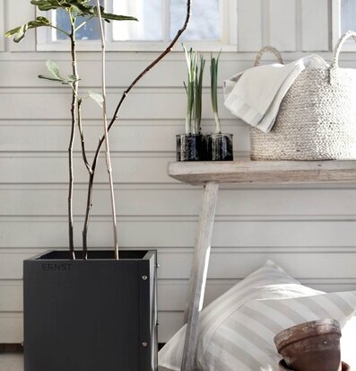 Bild av inbjudande och harmonisk inredning med växter