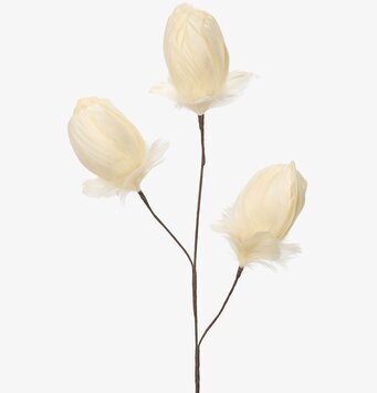 Bild av elegant kvistdekoration med fjäderknoppar