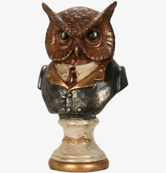 Bild av elegant ugglebyst i klassisk kostym och slips