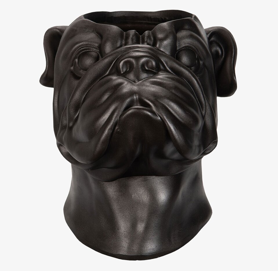 Kruka Bulldog Poly A Lot Decoration Krukor Örtkrukor Glaskrukor