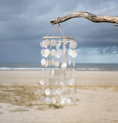 Foto av vindspel i naturen med strand och hav i bakgrunden