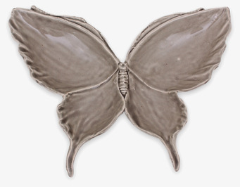 Bild av elegant grått fjärilsfat med detaljerade vingar