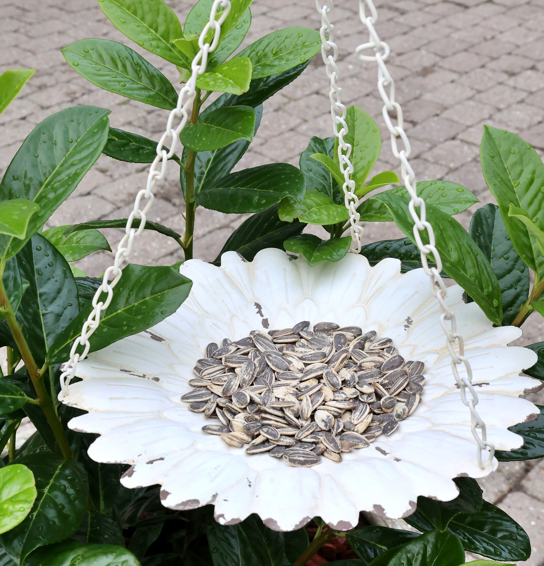 Ampel Fågelbord Antique Creme Chic Fågelbad Övrig prydnad/dekoration för inredning utemiljö