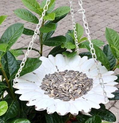 Bild av charmigt fågelbord i krämfärgad ampel-design