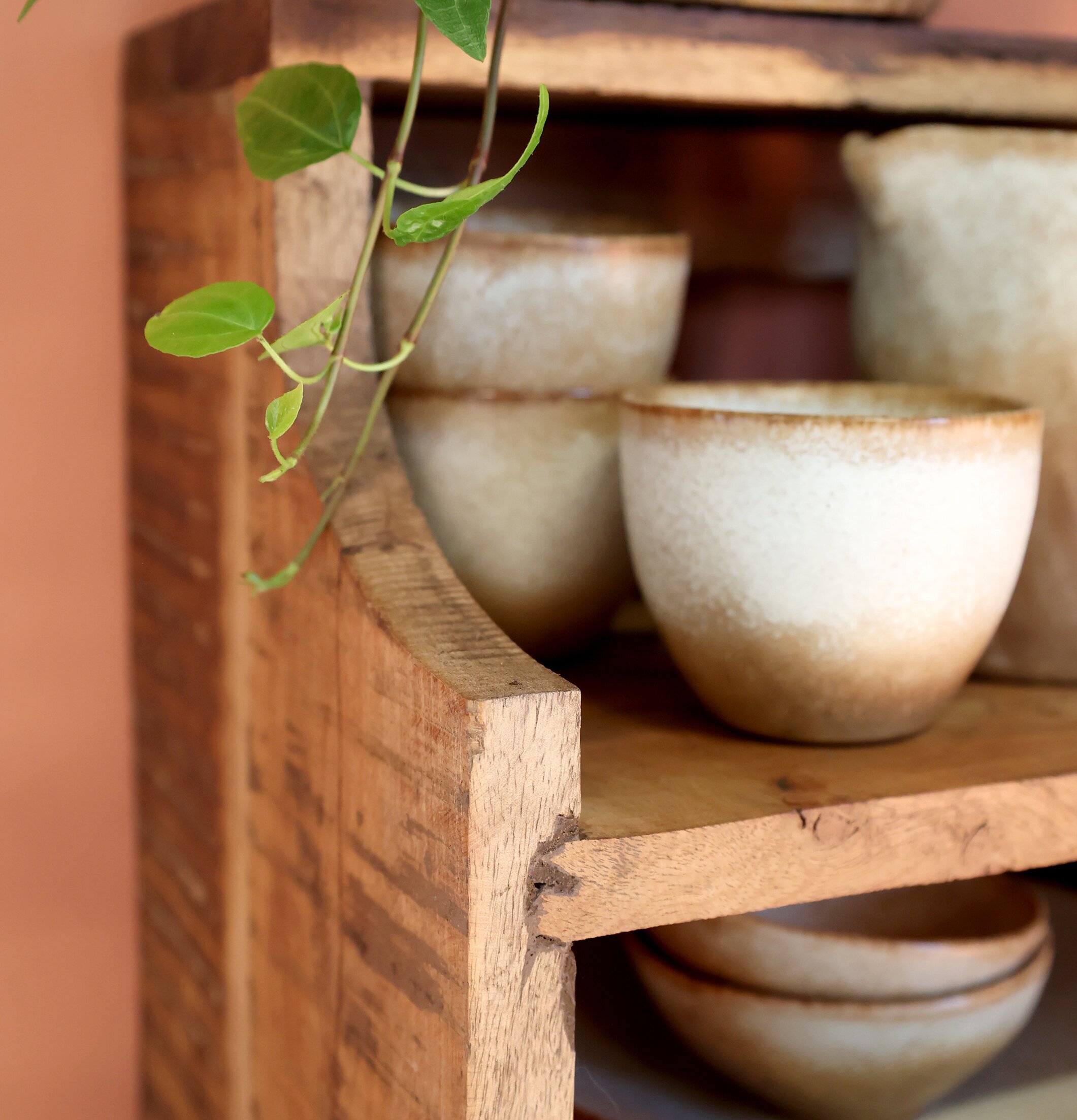 Bild av elegant vägghylla med keramik och grönska