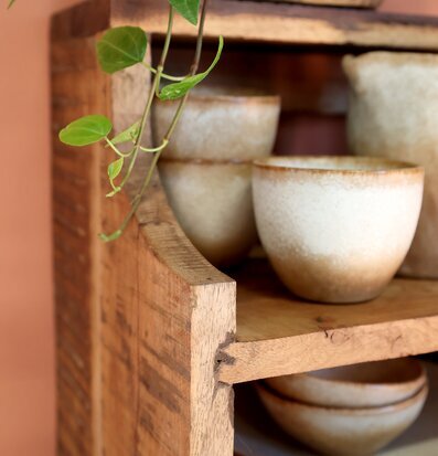 Bild av elegant vägghylla med keramik och grönska