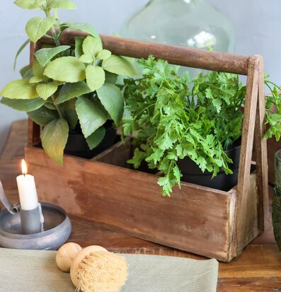 Bild av trälåda med växter och ljusstake i rustik miljö