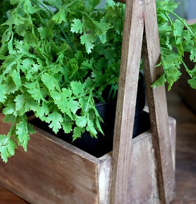 Bild av rustik trälåda med handtag och grön växt