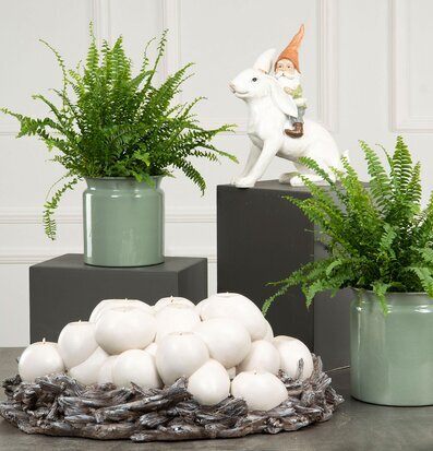 Bild av elegant interiör med ljusstake och växter