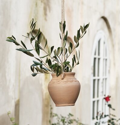 Foto av hängande kruka i terrakotta med grönska
