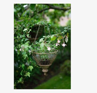 Bild av elegant ampel med rustik design och frodiga växter