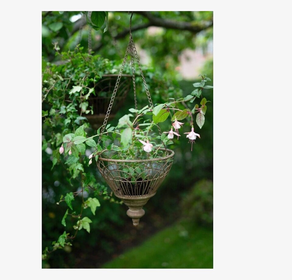 Bild av elegant ampel med rustik design och frodiga växter