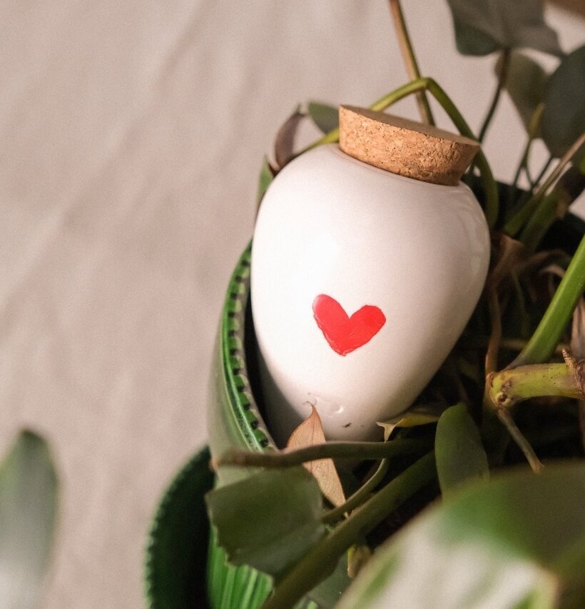 Bevattning Olla Hjärta Pepin Självbevattnare Självbevattning Bevattningsglas Droppvattnare Droppbevattnare Droppbevattning