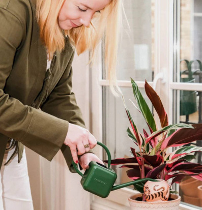 Foto av växtvård med stil och omsorg i naturligt ljus
