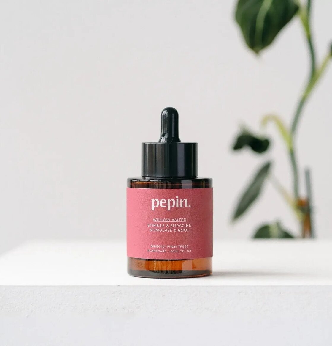 Willow Water - Rotutveckling Pepin Övrig prydnad/dekoration för inredning innemiljö