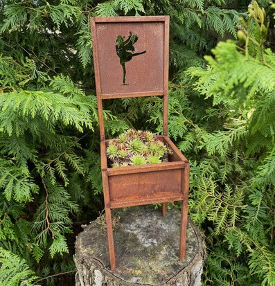 Foto av rustik planteringstol med succulenter i trädgård