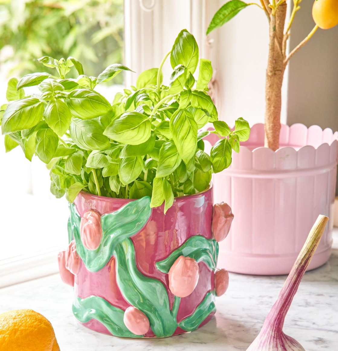 Blomkruka Tulpan Rice Krukor Örtkrukor Glaskrukor