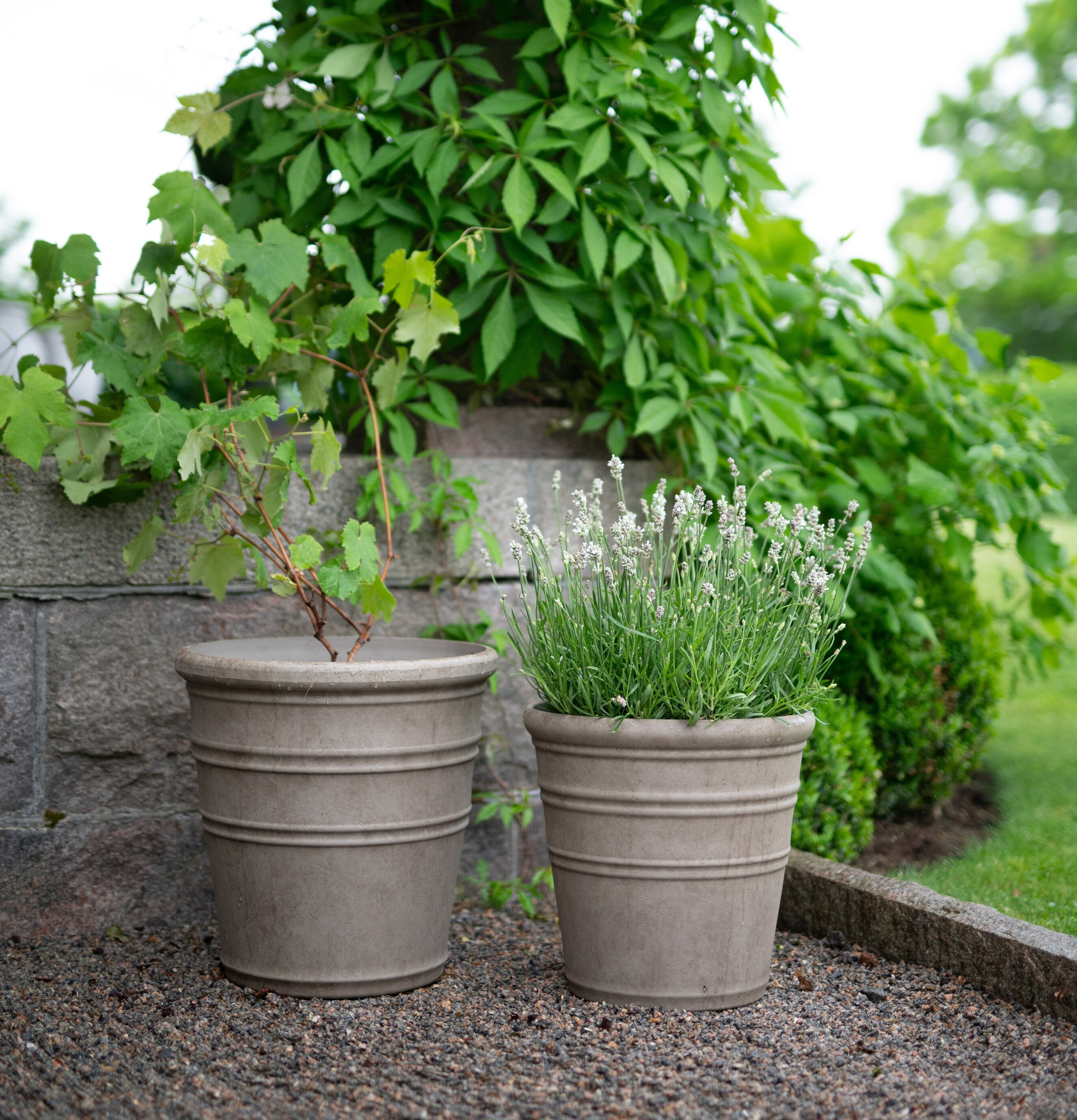 Bild av rustika blomkrukor och grönska vid stenmur utomhus