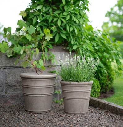 Bild av rustika blomkrukor och grönska vid stenmur utomhus