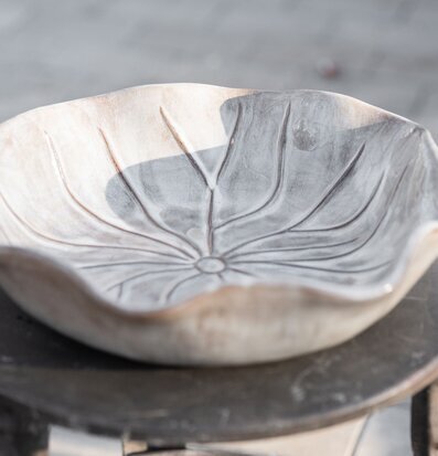 Bild av fågelbad i form av löv – trädgårdsinspiration ute