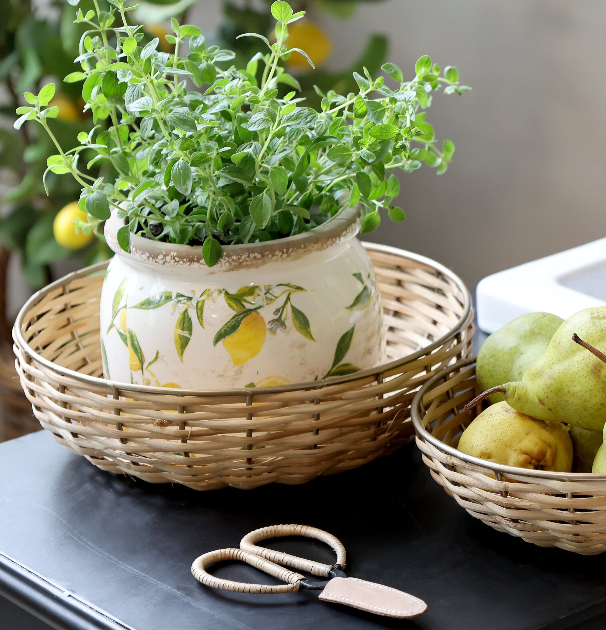 Kruka Limone Creme Ø12cm Chic Antique Krukor Örtkrukor Glaskrukor