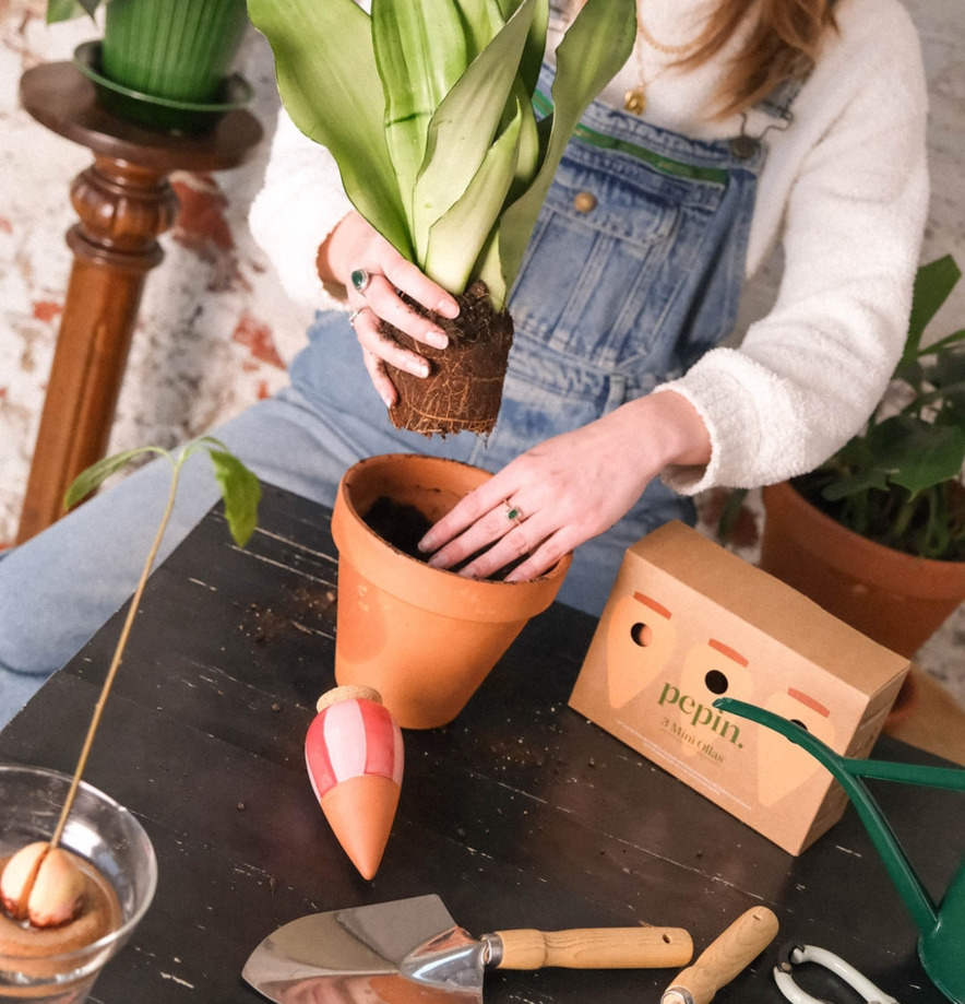 Trio Mini Ollas Randig Pepin Självbevattnare Självbevattning Bevattningsglas Droppvattnare Droppbevattnare Droppbevattning