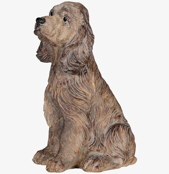 Bild av sittande Cocker Spaniel i detaljrik dekoration