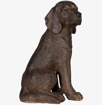 Bild av naturtrogen stövare som dekorativ inredningsdetalj