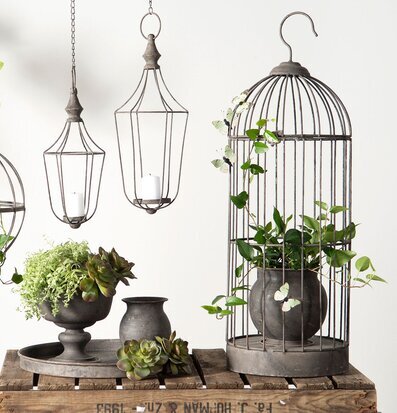 Bild: Inspirerande metallburar och växter för stilren inredning