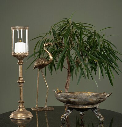 Bild av harmonisk inredning med lykta, fågel och grön växt