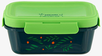 Bild på rektangulär lunchlåda i grönt och blått med växtmotiv