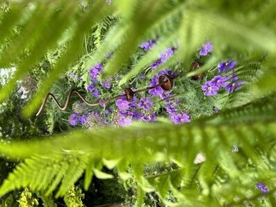 Humlebar Snurren Eldgarden Övrig prydnad/dekoration för inredning utemiljö