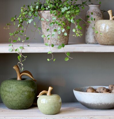 Bild av harmonisk hylla med keramik, grönska och dekoration