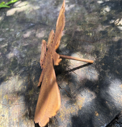 Bild av rostig ängelfigur i metall på trä utomhusmiljö