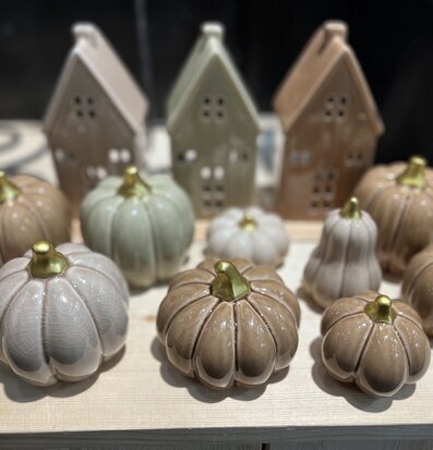 Bild av dekorativa keramikpumpor och hus på ljust träbord
