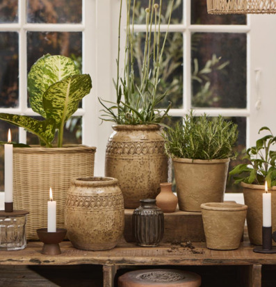 Bild av harmonisk inredning med naturfärger och gröna växter