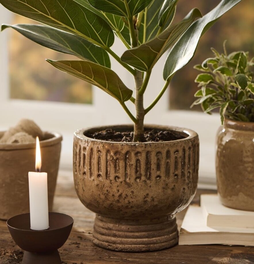 Kruka Pokal Naturbrun IB Laursen Krukor Örtkrukor Glaskrukor