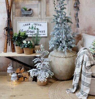 Bild av vintrig entré med gran, dekorationer och lyktor